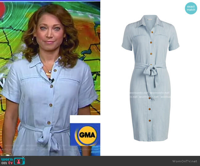 New York & Company Dagmar Dress - Eva Mendes Collection worn by Ginger Zee on Good Morning America