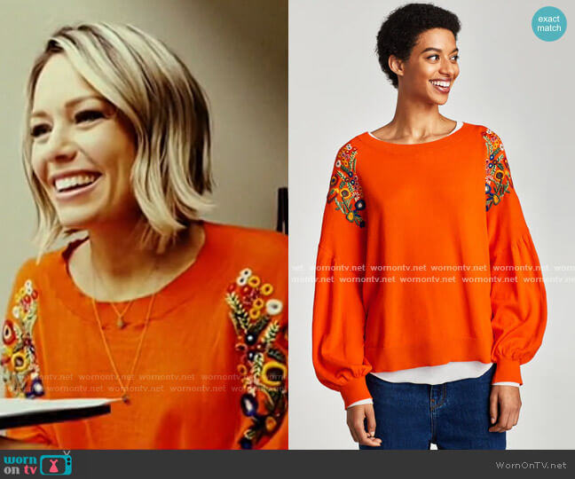 Zara Embroidered Sweater worn by Dylan Dreyer on Today