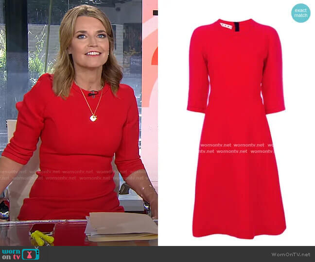 Marni Flared Shift Dress worn by Savannah Guthrie on Today