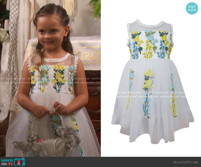 Popatu Embroidered Floral Tulle Dress