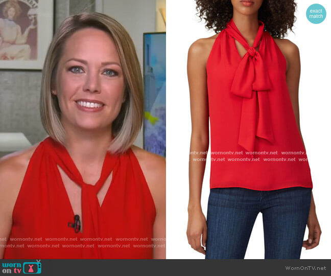 Prabal Gurung Collective Tie Neck Blouse worn by Dylan Dreyer on Today