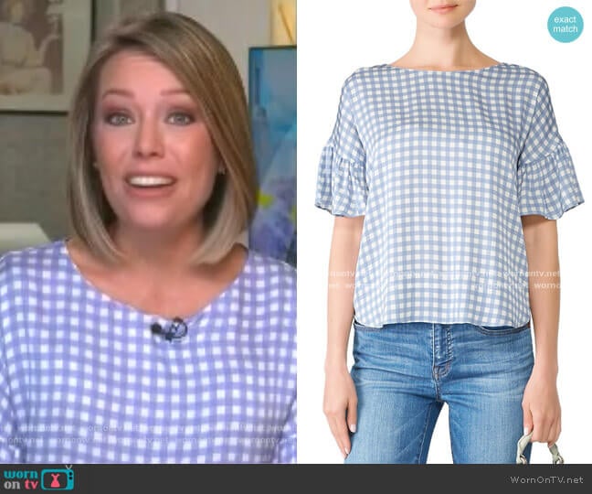 Slate & Willow Gingham Blouse worn by Dylan Dreyer on Today