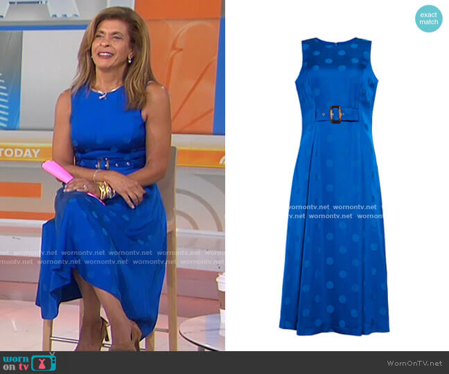 Ted Baker Innabel Belted A-Line Midi Dress worn by Hoda Kotb on Today