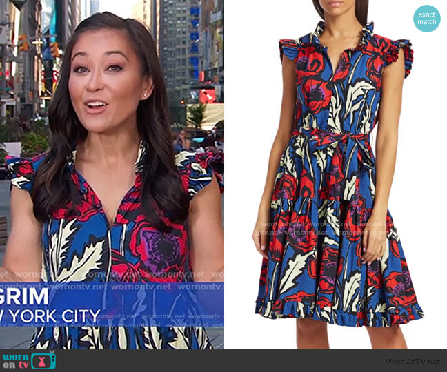 La DoubleJ Short And Sassy Dress worn by Eva Pilgrim on Good Morning America