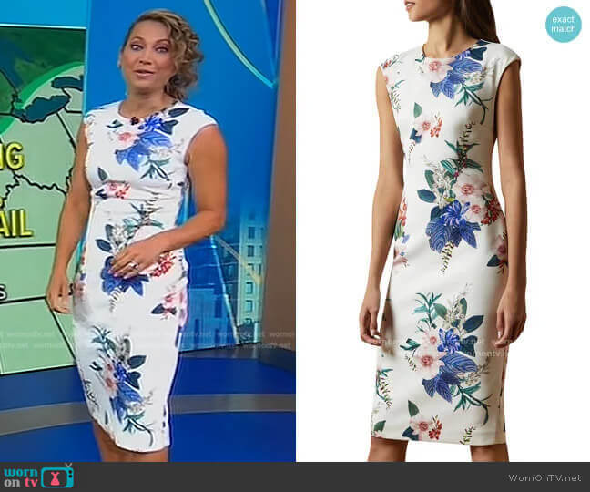 Ted Baker Sharley Jamboree Cap Sleeve Dress worn by Ginger Zee on Good Morning America