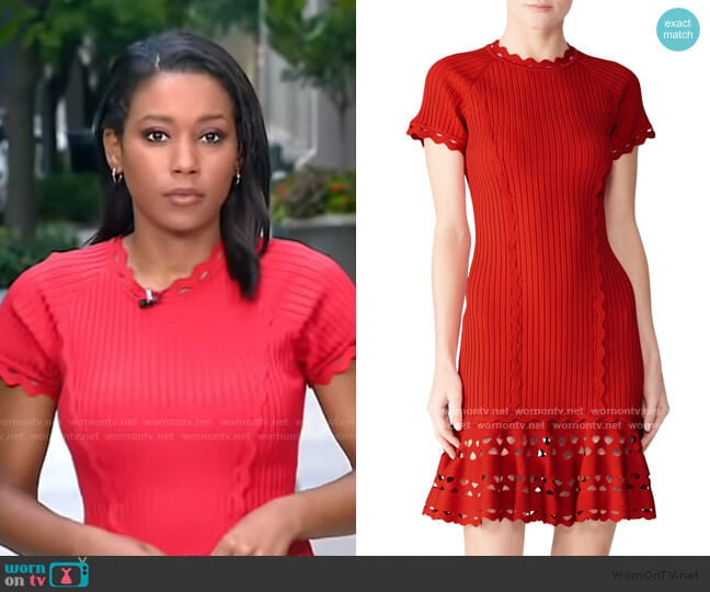 Jonathan Simkhai Knit Zig Zag Dress worn by Rachel Scott on Good Morning America