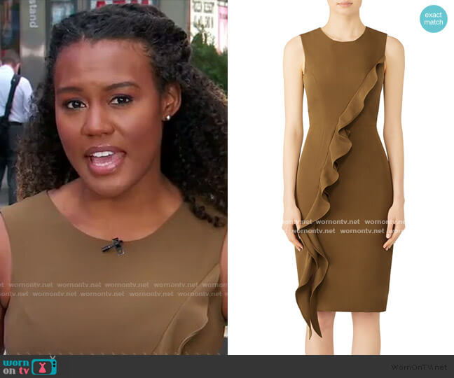 Milly Italian Cady Tilly Dress worn by Janai Norman on Good Morning America