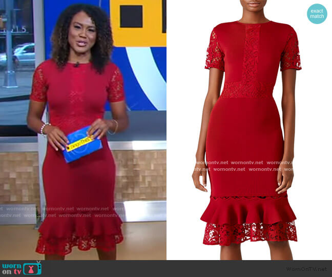 Sachin & Babi Lace Ruffle Hem Dress worn by Janai Norman on Good Morning America