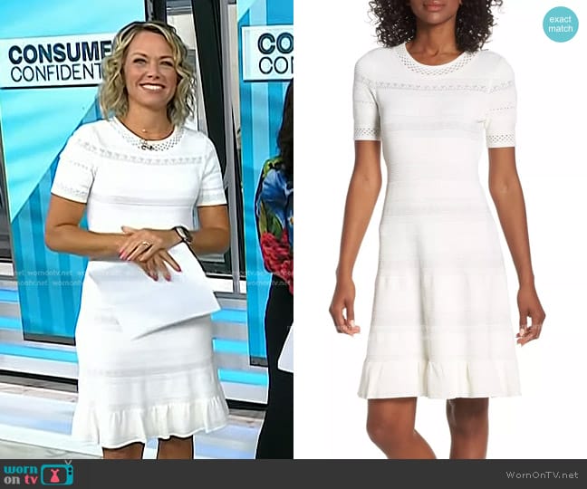 Eliza J Pointelle Ruffle Hem Sweater Dress worn by Dylan Dreyer on Today