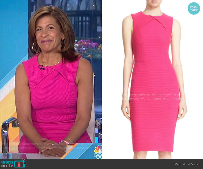 Ted Baker Tarala Dress worn by Hoda Kotb on Today