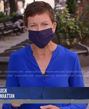 Stephanie’s blue v-neck blouse on Today