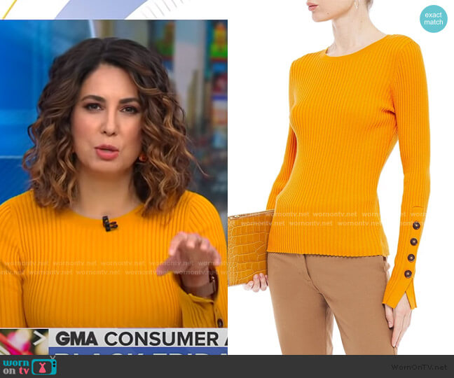 Cotton by Autumn Cashmere Ribbed Sweater worn by Cecilia Vega on Good Morning America
