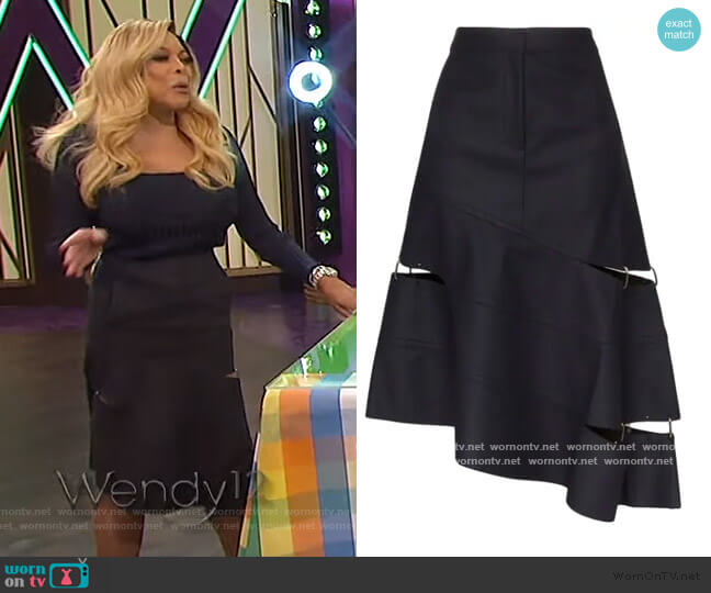 Tibi Asymmetric Cutout Ring Detail Skirt worn by Wendy Williams on The Wendy Williams Show