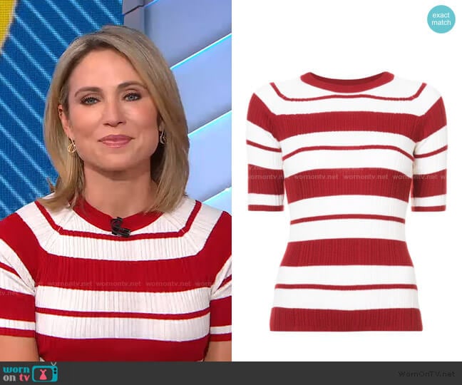 Jason Wu Striped Crewneck Sweater worn by Amy Robach on Good Morning America