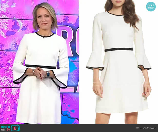 Eliza J Fit & Flare Dress worn by Dylan Dreyer on Today