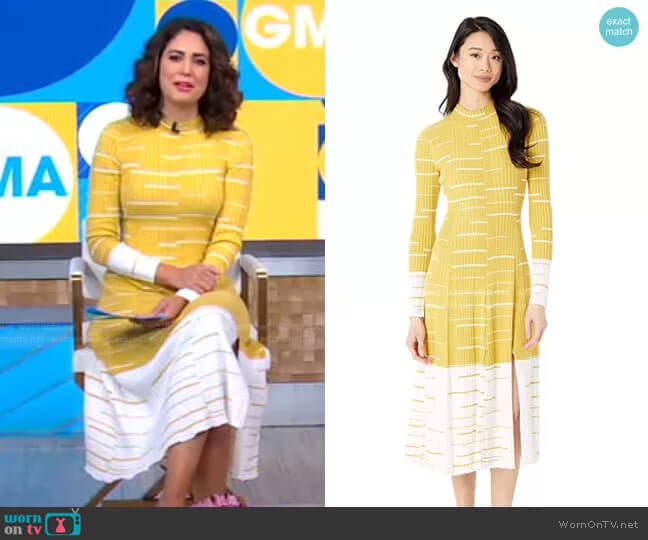 Bcbgmaxazria Midi Sweaterdress worn by Cecilia Vega on Good Morning America