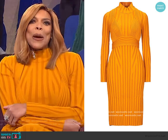 Proenza Schouler Viscose Blend Rib Knit Dress worn by Wendy Williams on The Wendy Williams Show