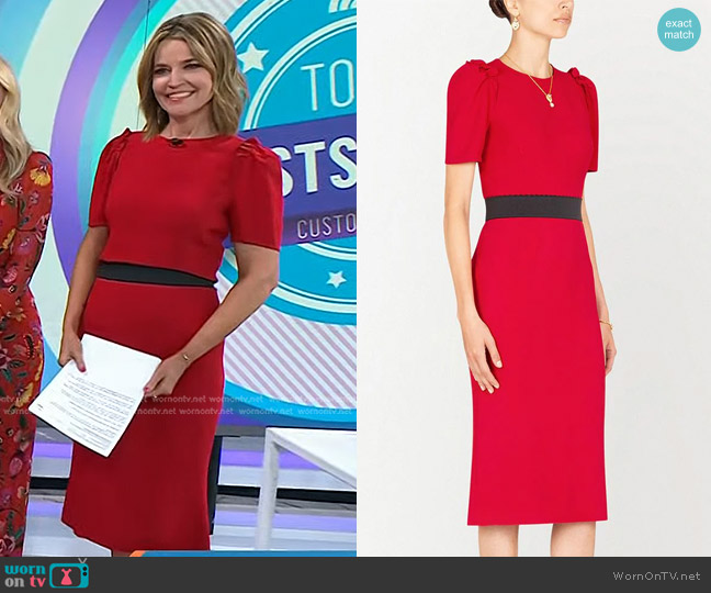 Dolce & Gabbana Ruffled Short-Sleeve Blouse worn by Savannah Guthrie on Today