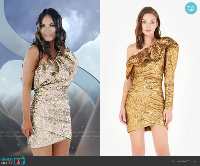 Dundas Ruffled Metallic Jacquard Mini Dress worn by Lisa Barlow on The Real Housewives of Salt Lake City