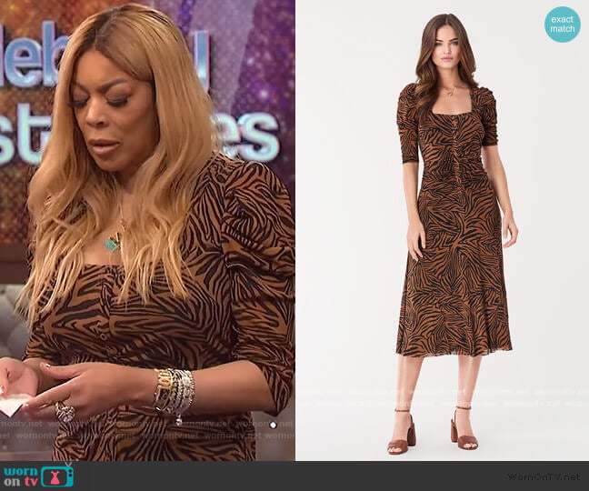 Diane von Furstenberg Abra Ruched Mesh Midi Dress worn by Wendy Williams on The Wendy Williams Show