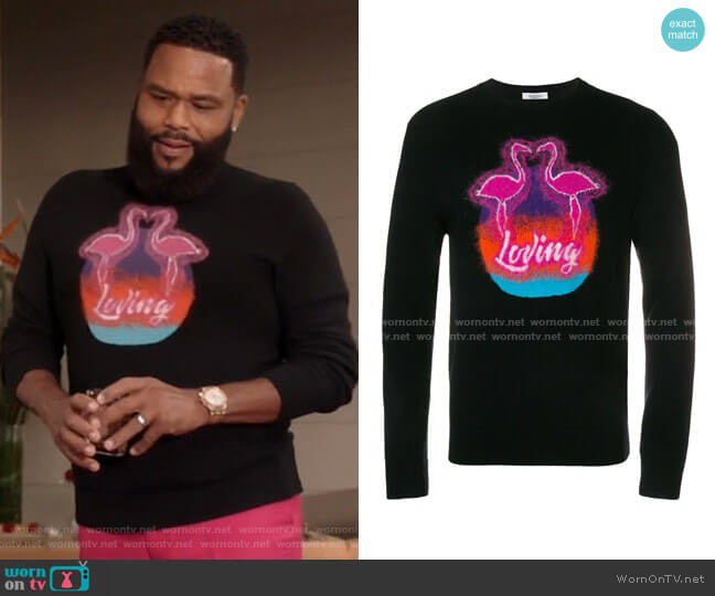 Valentino Palm Long-Sleeve Sweater worn by Andre Johnson (Anthony Anderson) on Black-ish