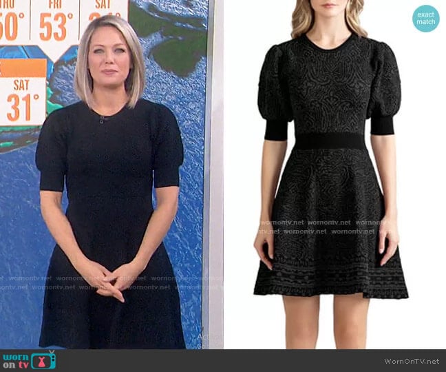 Shoshanna Salisbury Puff-Sleeve Dress worn by Dylan Dreyer on Today