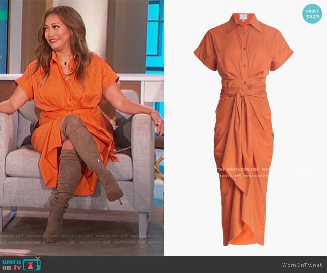 Divine Heritage Belted Shirt Dress worn by Carrie Inaba on The Talk
