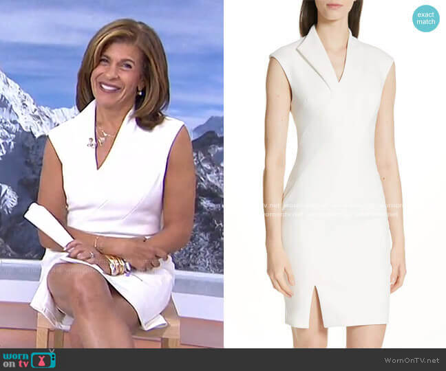 Ted Baker Geodese Dress worn by Hoda Kotb on Today