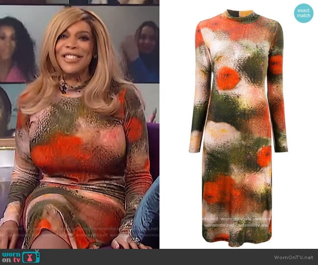Henrik Vibskov Multicolor Velvet Pollen Dress worn by Wendy Williams on The Wendy Williams Show