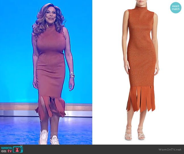 Staud Pat Glitter Sheath Fringe Dress worn by Wendy Williams on The Wendy Williams Show