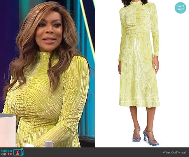 Stine Goya Asher Dress worn by Wendy Williams on The Wendy Williams Show