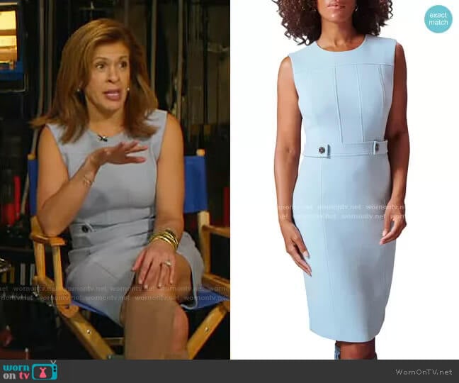 Toccin Tabby Sleeveless Sheath Dress worn by Hoda Kotb on Today