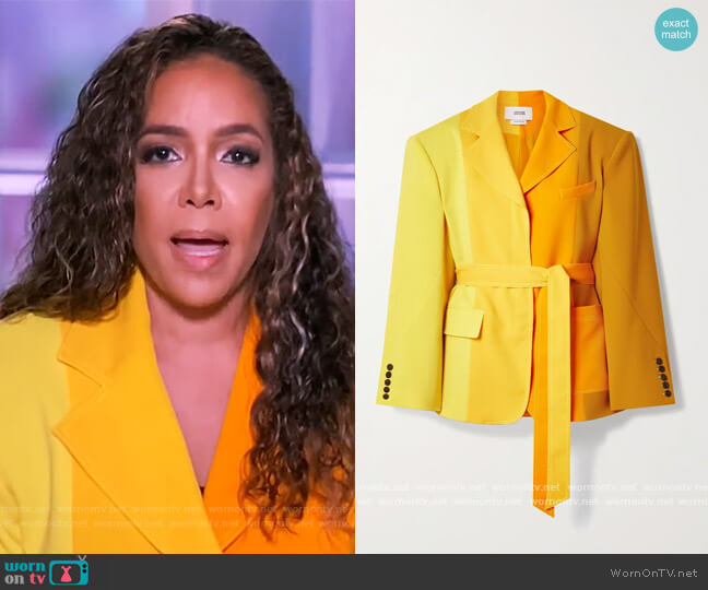 Christopher John Rogers Oversized belted color-block crepe blazer worn by Sunny Hostin on The View