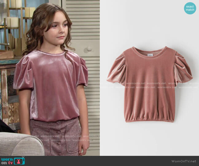 Zara Balloon Sleeve Velvet Top