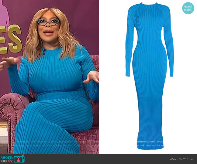 Hanifa Olivia Maxi Dress worn by Wendy Williams on The Wendy Williams Show