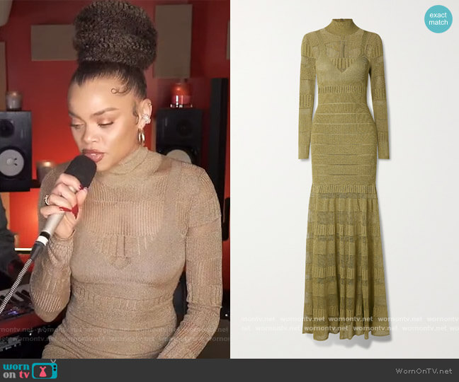 Herve Leger Pointelle-trimmed metallic stretch-knit turtleneck gown