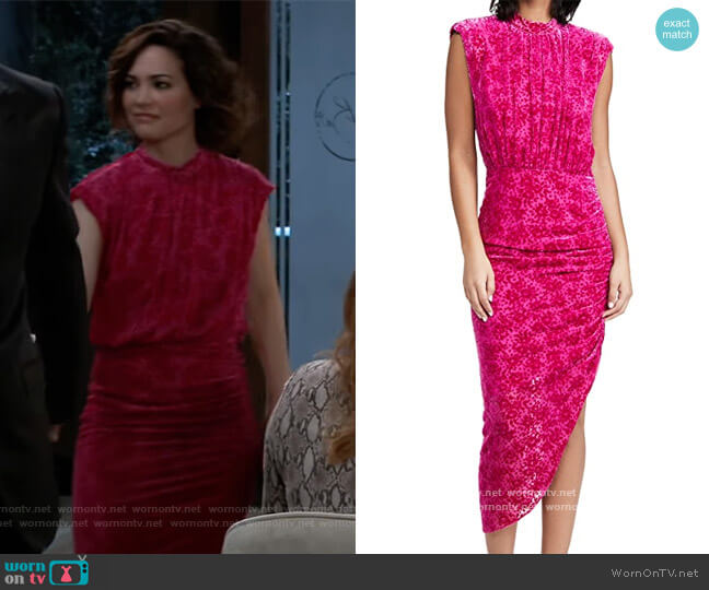 Veronica Beard Kendall Dress worn by Elizabeth Webber (Rebecca Herbst) on General Hospital