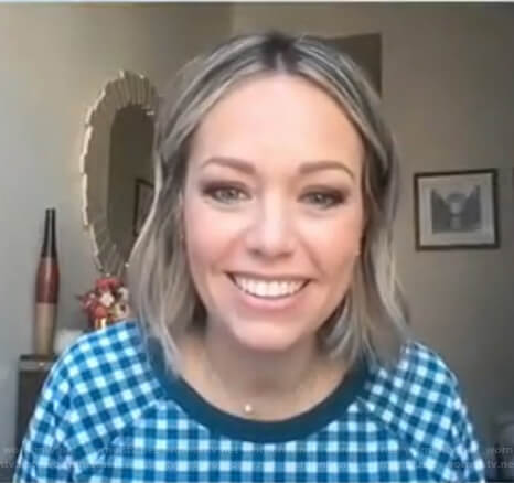 Dylan’s teal blue gingham sweatshirt on Today