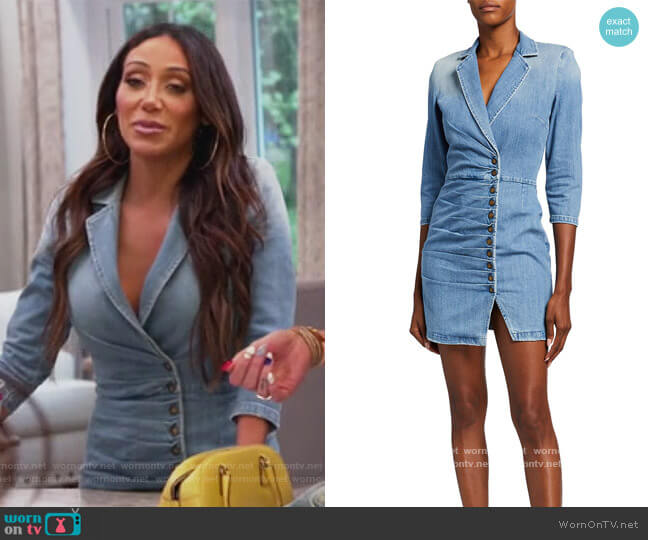 Retrofete Willa Button-Front Denim Mini Dress worn by Melissa Gorga on The Real Housewives of New Jersey