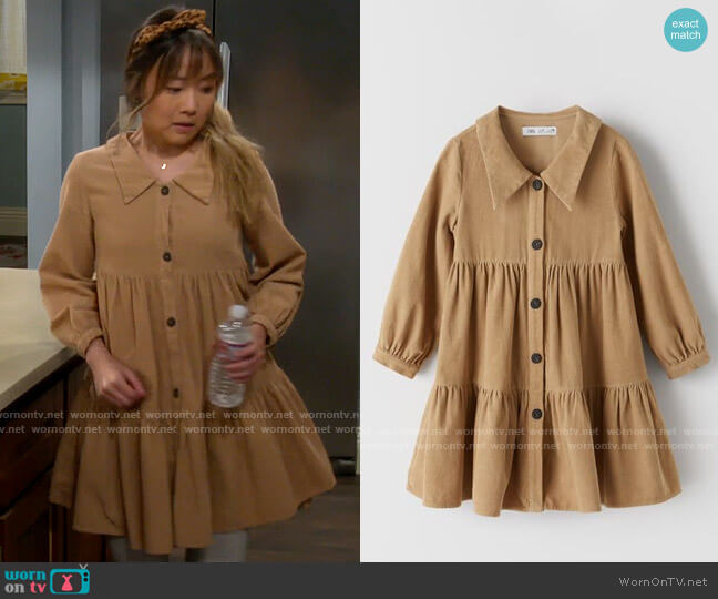 Zara Pleated Fine Wale Corduroy Dress worn by Jen (Krista Marie Yu) on Last Man Standing
