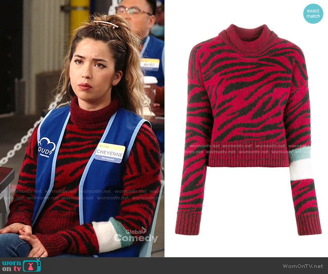 Brognano Roll-Neck Zebra Print Sweater worn by Cheyenne (Nichole Bloom) on Superstore