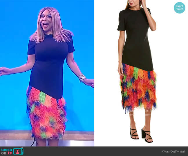 Prabal Gurung Fagu Midi Dress worn by Wendy Williams on The Wendy Williams Show