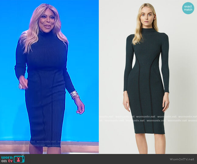 French Connection Simona High Neck Dress worn by Wendy Williams on The Wendy Williams Show