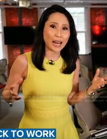 Vicky Nguyen’s yellow sleeveless ribbed dress on Today