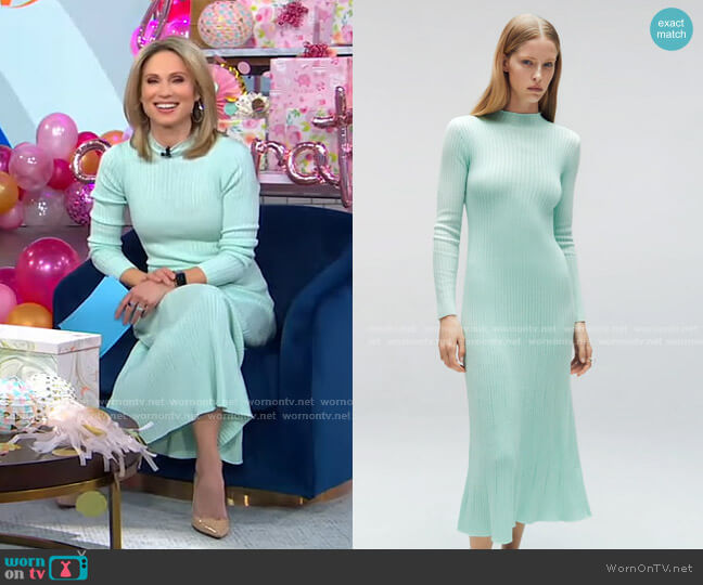 Zara Long Knit Dress worn by Amy Robach on Good Morning America