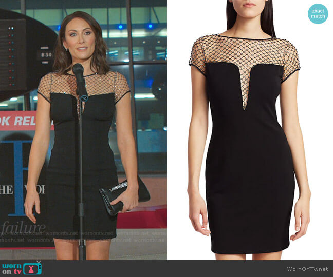CDGNY by CD Greene Studded Mesh Illusion Sheath Dress worn by Quinn (Laura Benanti) on Younger