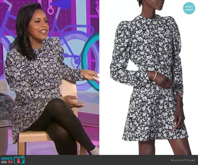 Joie Celyn Dress worn by Sheinelle Jones on Today