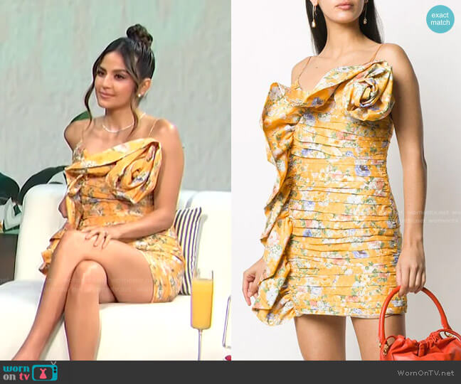 Magda Butrym Floral Print Ruffled Mini Dress worn by Erin Lim on E! News