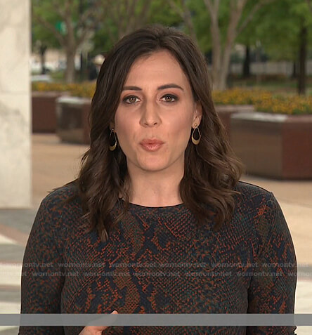 Hallie Jackson’s snake print dress on Today