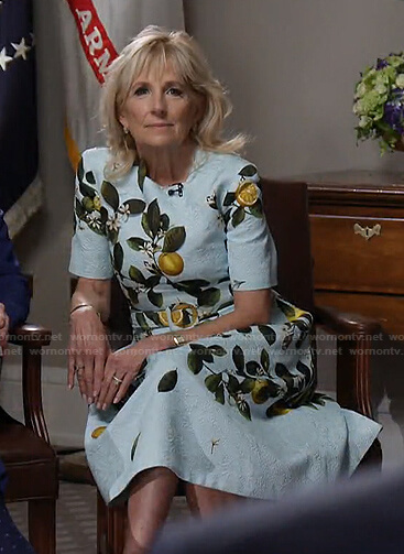Jill Biden’s blue lemon print belted dress on Today